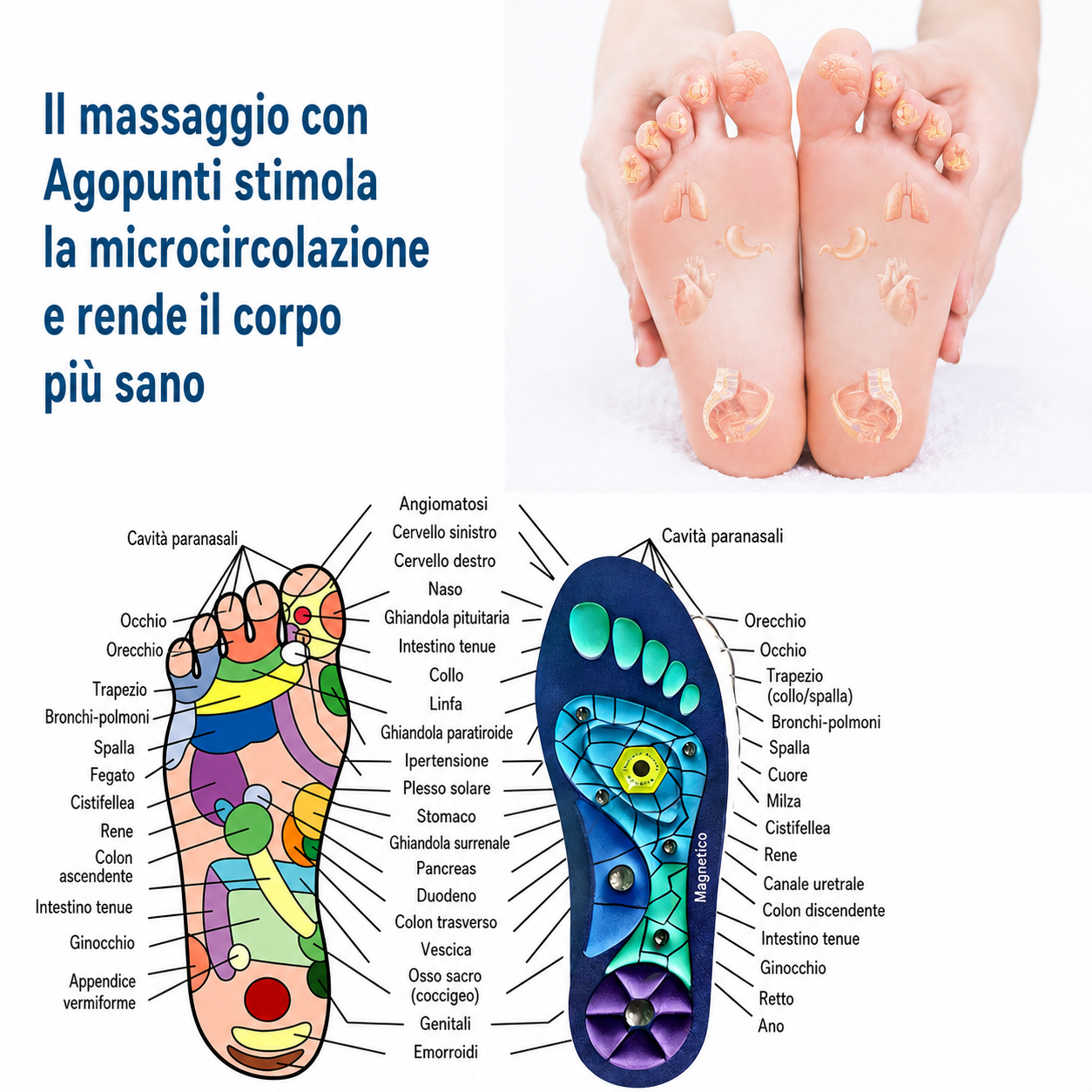Solette Magnetiche Ortopediche in EVA con Supporto dell'Arco Plantare | Massaggio ai Punti di Agopuntura | Uomo e Donna